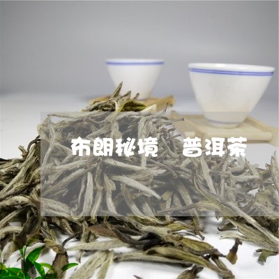 布朗秘境 普洱茶/2023040933715